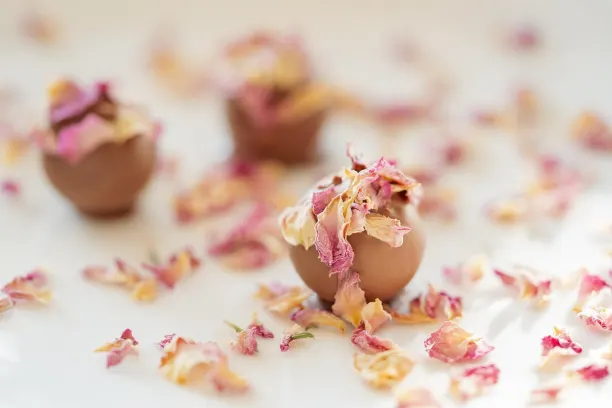 Coin365Bet Kaszinó Android/iOS Alkalmazás